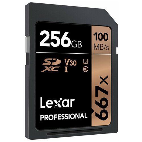 LEXAR 256GB Professional 667x SDXC UHS-I cards, up to 100MB/