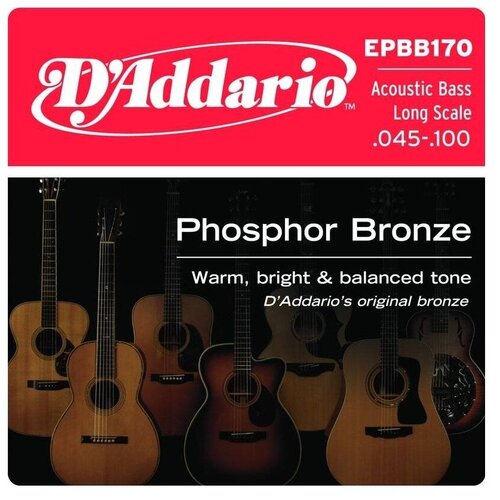  D'ADDARIO EPBB170 Струны для 4-х струнной акустической бас г