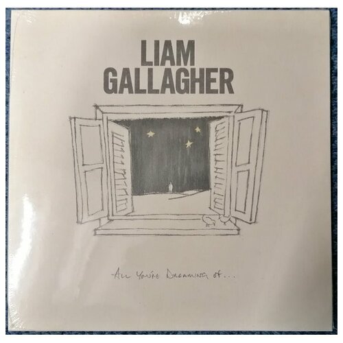 0190295158477, Виниловая Пластинка Gallagher, Liam, All You'