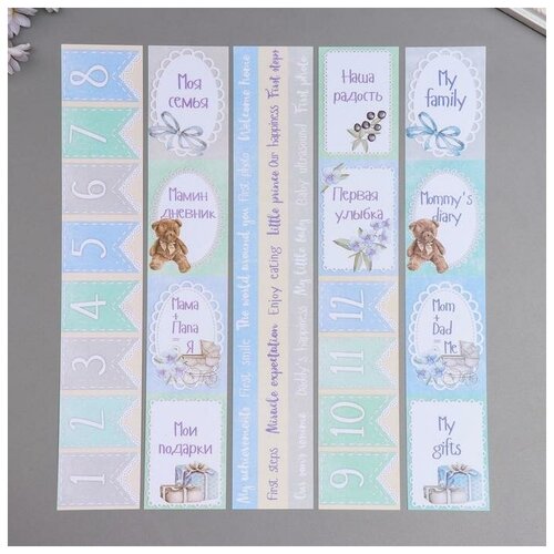 Набор полос для декорирования Shabby baby boy redesign 5 ш