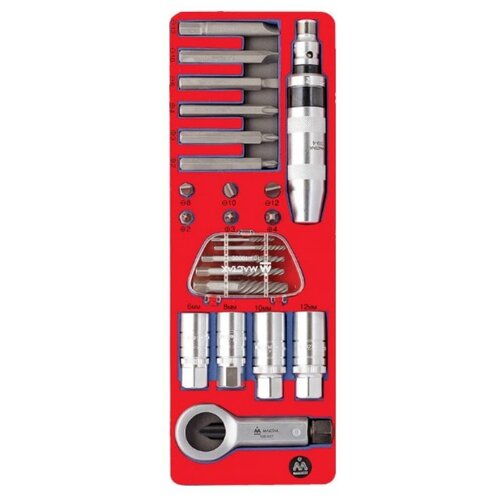 Набор демонтажный с ударной отверткой, ложемент, 24 предмета мастак