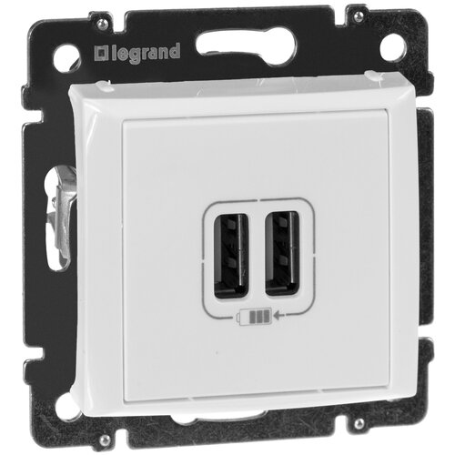 770470 белыйая розетка 2-ая USB Legrand