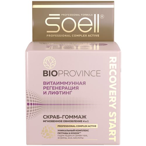 Soell Скраб-гоммаж BioProvince Мгновенное обновление 4 в 1 Recovery start, 100