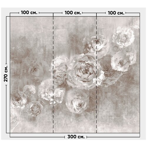 Фотообои / флизелиновые обои Каменные розы 3 x 2,7