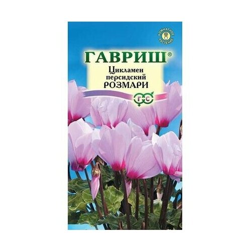 Семена гавриш цикламен розмари персидский 3 шт