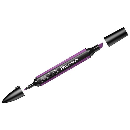 Маркер художественный двусторонний Winsor&Newton Pro, пуле