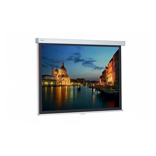 Экран для проектора Projecta ProScreen 179x280см (125) Matt