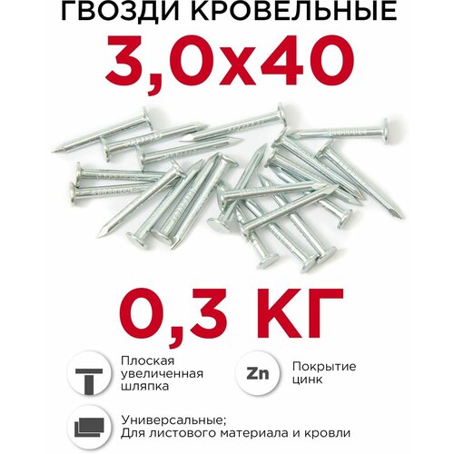  Гвозди толевые 3,0x40 мм оцинкованные (25 кг)