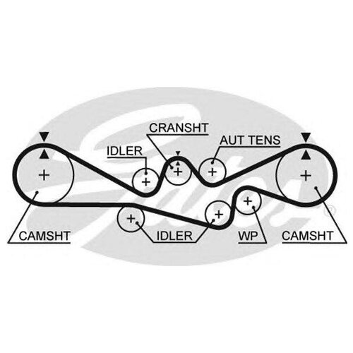 GATES Ремень ГРМ