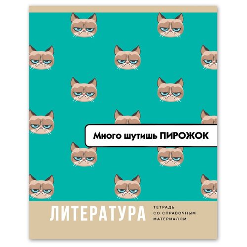 Тетрадь предметная 40л. BG Веселье начинается - Литература, 