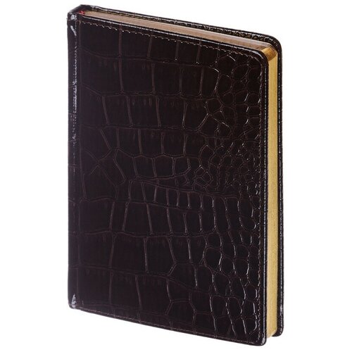 Ежедневник недатированный А6+ Caiman (коричневый)3-498