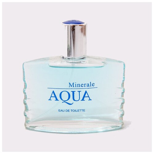 Туалетная вода мужская Aqua Minerale, 100 мл