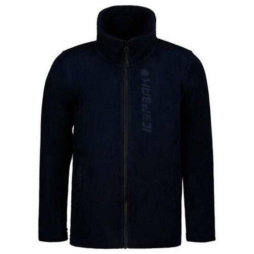 Флис горнолыжный детский Icepeak Kooskia Jr Dark Blue (Рост: