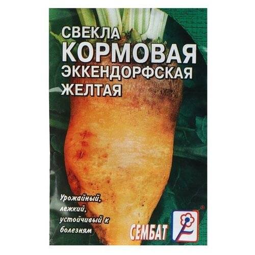 Семена Свекла кормовая Эккендорфская, желтая, 3