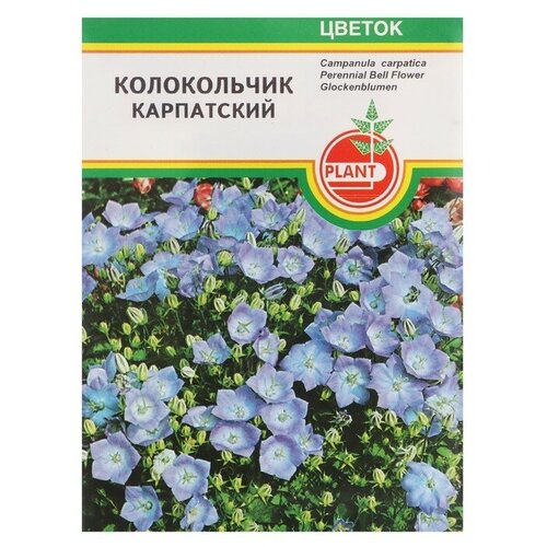 Семена цветов Колокольчик Карпатский, 0.03 г, Plant