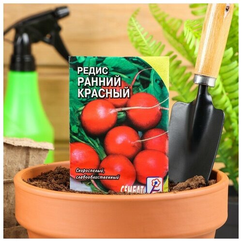 Семена Редис Ранний красный, 3