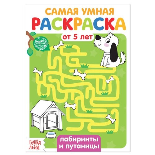 Раскраска «Лабиринты и путаницы», 12