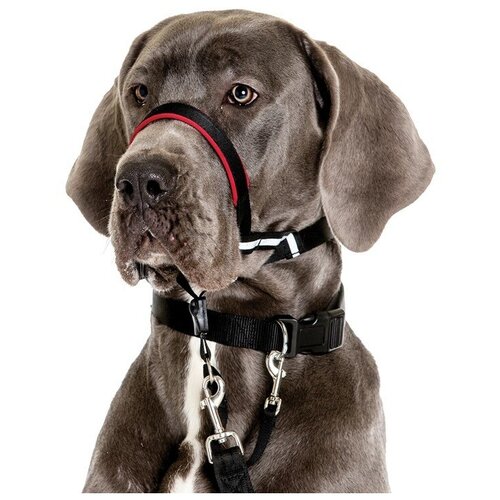 Недоуздок для собак Company of Animals HALTI Optifit Headcollar, L , черный, 48-64см