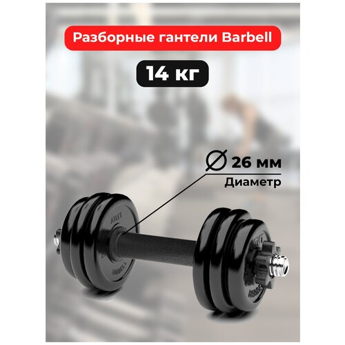 Гантель разборная MB Barbell резина