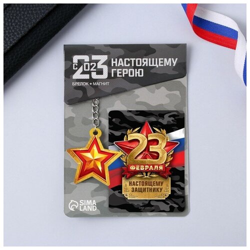 Магнит и брелок «Защитнику», набор 2
