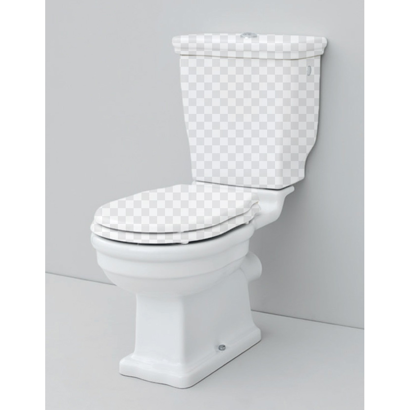 Унитазы  Axor ArtCeram Hermitage HEV004 01 00 чаша