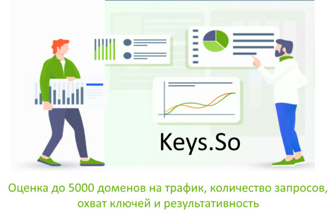 Статистика и аналитика Массовая оценка до 5000 доменов по Keys.so