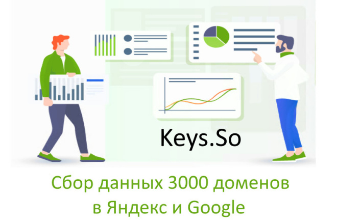 Статистика и аналитика  Kwork Keys.so - Соберу данные по охвату и трафику по 3000 доменам