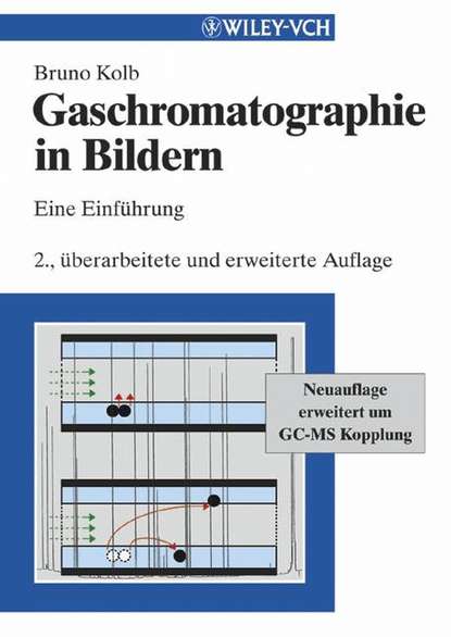 Gaschromatographie in Bildern. Eine Einf?hrung