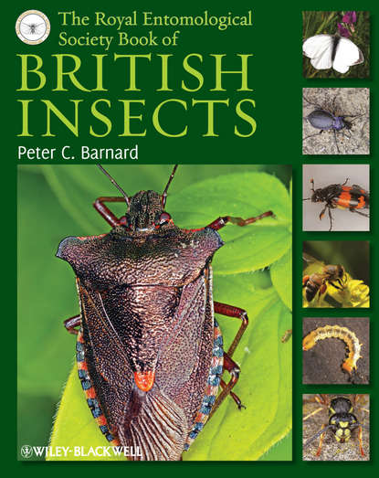 зоология  ЛитРес The Royal Entomological Society Book of British Insects