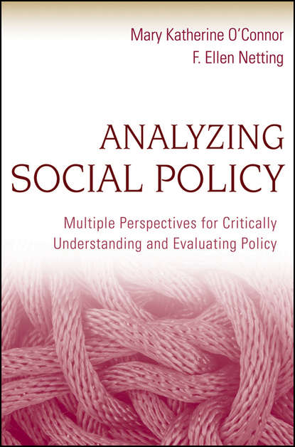 Analyzing Social Policy. Multiple Perspectives for Critically Understanding and Evaluating Policy