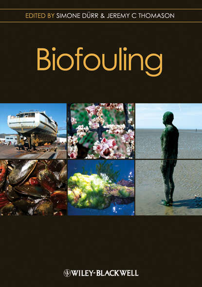 зоология  ЛитРес Biofouling