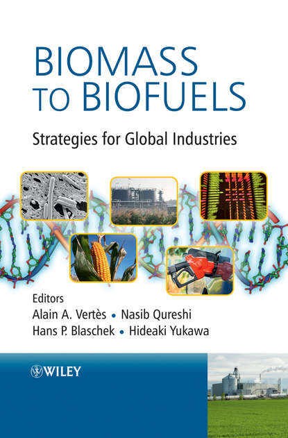 Biomass to Biofuels