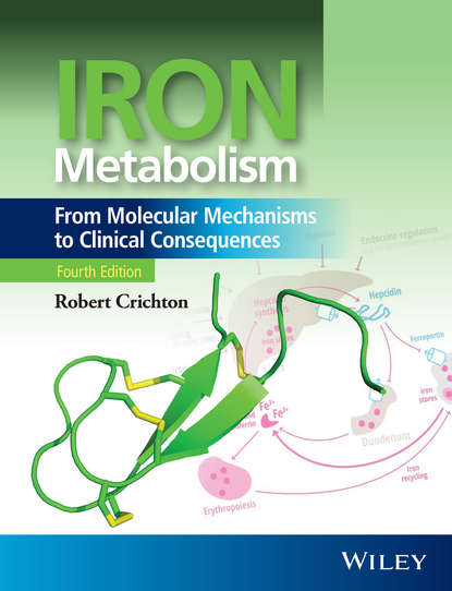 эндокринология Iron Metabolism