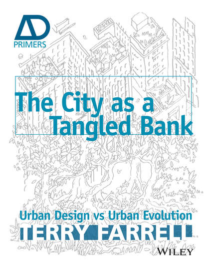 основы строительства The City As A Tangled Bank