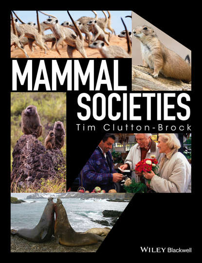 зоология Mammal Societies