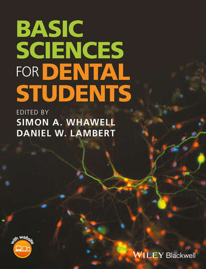 стоматология  ЛитРес Basic Sciences for Dental Students