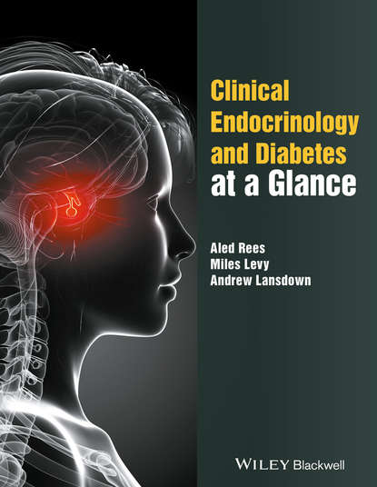 эндокринология Clinical Endocrinology and Diabetes at a Glance