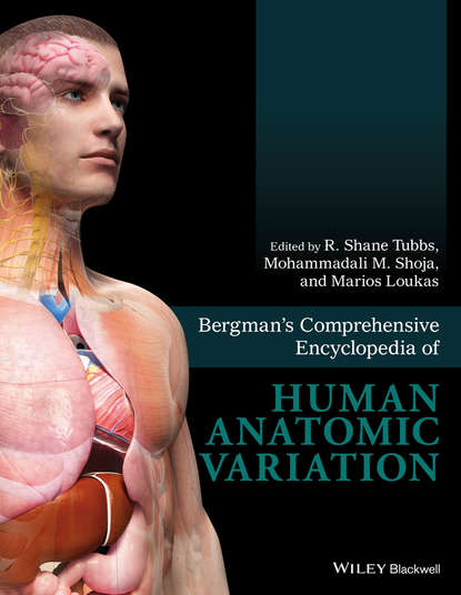 Bergman's Comprehensive Encyclopedia of Human Anatomic Variation