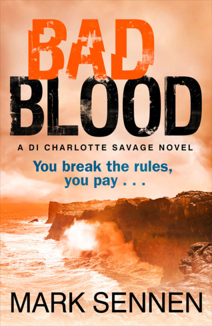 зарубежные приключения BAD BLOOD: A DI Charlotte Savage Novel