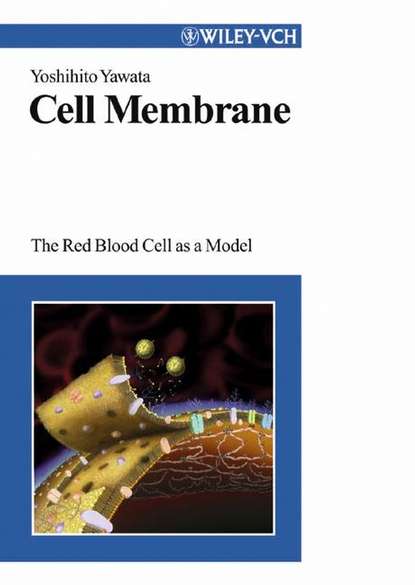 Cell Membrane