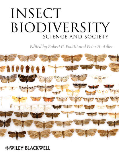 Insect Biodiversity