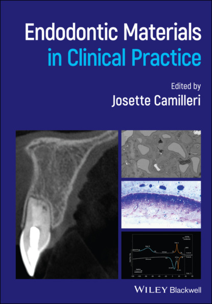 Endodontic Materials in Clinical Practice