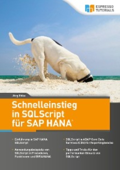 Schnelleinstieg in SQLScript f?r SAP HANA