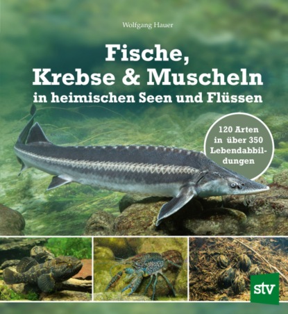 Fische, Krebse & Muscheln in heimischen Seen und Fl?ssen