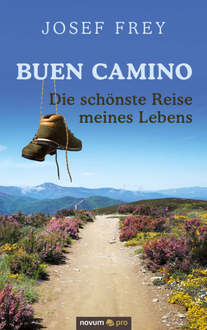 Buen Camino - die sch?nste Reise meines Lebens