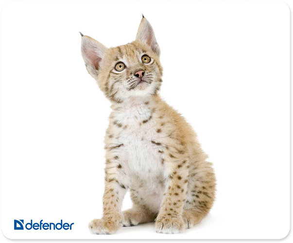  Коврик для мыши Defender Silk 50706 шелковый, 230x190x1,6 мм, ассорти-10 видов