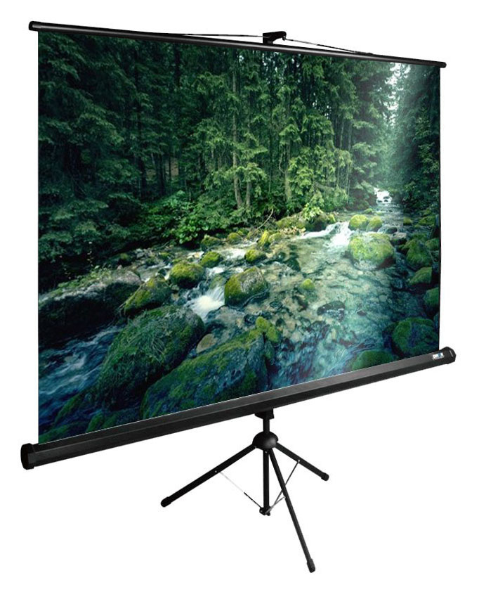 Экран Cactus CS-PSTE-220X165-BK 4:3 напольный рулонный