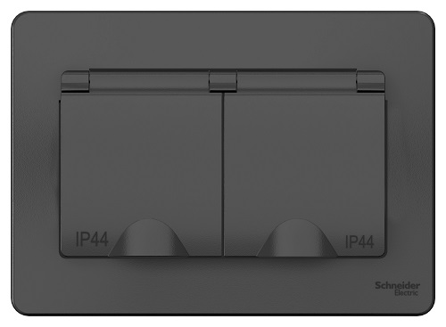 Розетка Schneider Electric BLNRS441126 2-ая с/з со шторками IP44, 16А, 250В Антрацит внутр