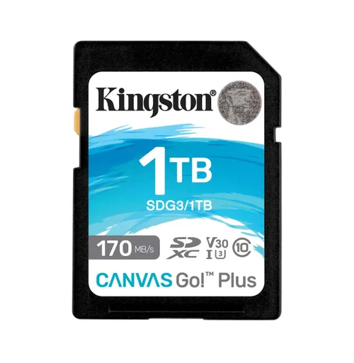  Карта памяти SDXC 1TB Kingston SDG3/1TB Canvas Go Plus 170R C10 UHS-I U3 V30
