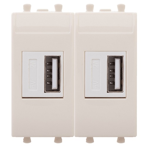 Зарядное устройство DKC 4405542 USB, модульное, Ванильная дымка, 2 модуля, Avanti